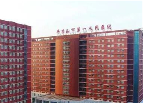 平顶山市第一人民医院.jpg