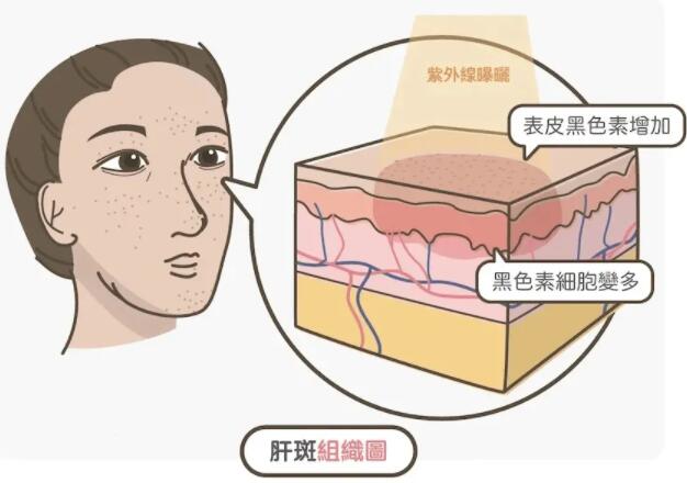 QQ截图20230106100940.jpg