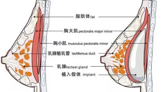 QQ截图20211115122229.jpg