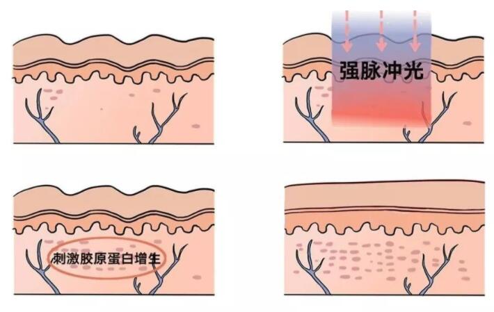 QQ截图20230117103626.jpg