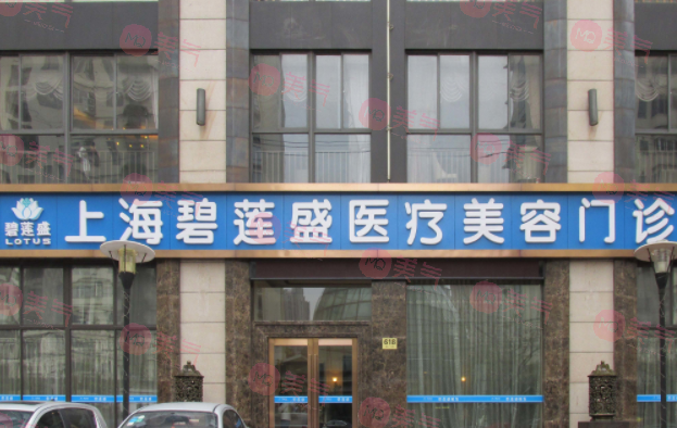 上海碧莲盛植发